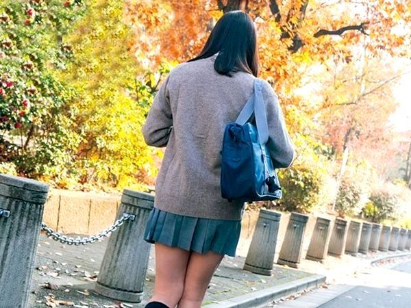 ＜女子校生＞色白清楚な幼いたわわなおっぱい女子校生を尾行し強姦凌辱！恐怖でお漏らしする美女を孕ませ調教…問答無用の膣内発射輪姦＜辱め＞